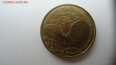 ПОЛЬША 2 ЗЛОТЫХ 2010 ЛЕТУЧАЯ МЫШЬ ДО 03.11 22:00 МСК - DSC03087.JPG