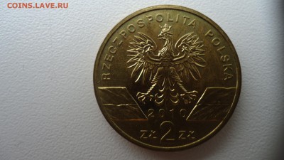 ПОЛЬША 2 ЗЛОТЫХ 2010 ЛЕТУЧАЯ МЫШЬ ДО 03.11 22:00 МСК - DSC03086.JPG