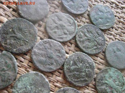 Деньга, 14шт. Свежевыкопанная. До 3.11.2016г. - 055.JPG