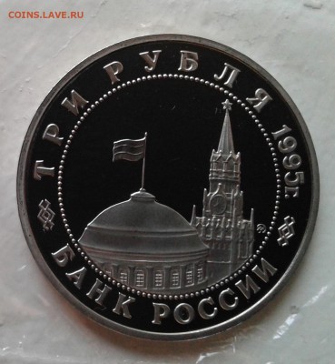 Эльба СУПЕР КОРОТКИЙ до 28.10.16 в 22.00 - 20161028_171212