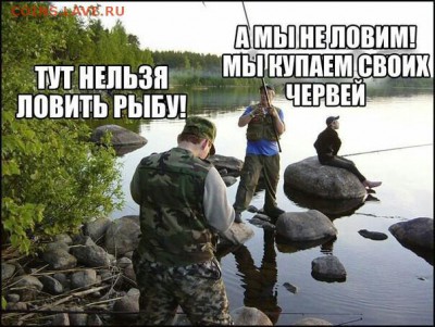 веселые картинки - cutting-242433