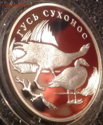 Гусь сухонос 1 рубль 2006 год до 1.11 в 22.00 Старт с 500 - IMG_7295.JPG