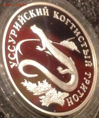 Тритон 1 рубль 2006 год короткий до 1.11 в 22.00 старт 1234 - IMG_7289.JPG