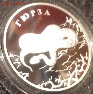 Гюрза 2 рубля 2010 до 1.11.2016 в 22.00 - IMG_7287.JPG