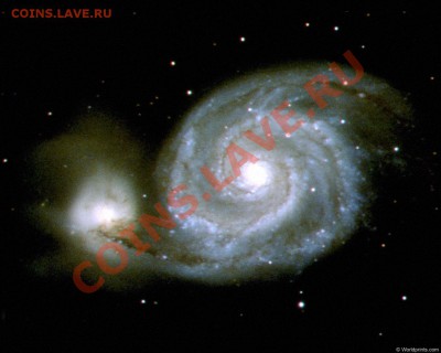 Закажи фотографию!!! - Млпуть