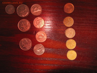 Экзотические монетки- простую ходячку - IMG_1424.JPG