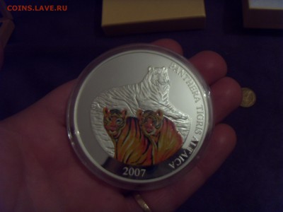 Монголия 5000 тугриков 2007, вес 155,5 гр. Оценка - SDC10049.JPG