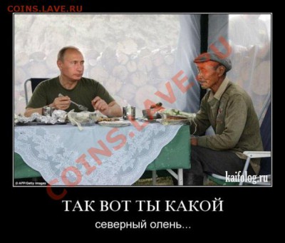 Мы поедем, мы помчимся... - 1256050066_139