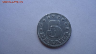 ЮГОСЛАВИЯ 5 ДИНАР 1953  ДО 05.11 22:00 МСК - DSC03125.JPG