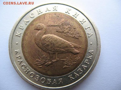 КК Краснозобая казарка 1992 г до 22-00 02.11.2016 г - IMG_0007.JPG