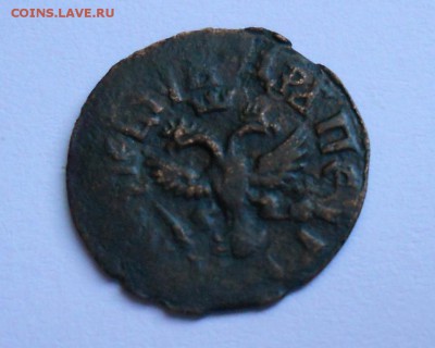 Полушка 1709 - polushka_1709_redkaja (4)