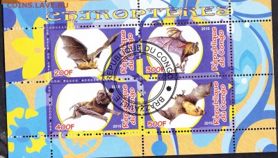 Конго 2010 фауна (6) - 6