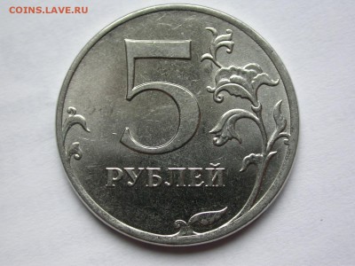 2012м красивые полные расколы 3 шт. 5 ноября - DSCN7784x