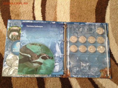 Монеты из серии Новосибирский зоопарк - image