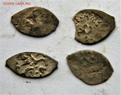 4 чешуйки Ивана 3 - DSC06483.JPG