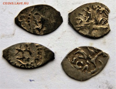 4 чешуйки Ивана 3 - DSC06482.JPG