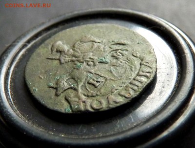 полушка 1792 к.м. немытая. до 1.11 - P1150103.JPG