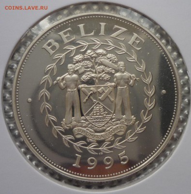 БЕЛИЗ. 10 долларов 1995 до 03.11.2016(21-00Мск) - P1140868.JPG