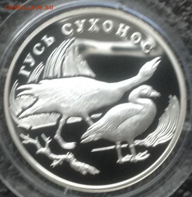 Гусь сухонос 1 рубль 2006 год до 1.11 в 22.00 Старт с 500 - IMG_7316.JPG