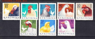 Румыния 1963 домашняя птица - Копия 26