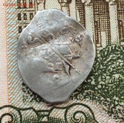 Годунов КГ 160 р.4 оценка - IMG_2455.JPG