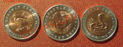 Красная книга, 10 рублей, 3шт. 1992г. - IMG_9668.JPG