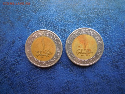 1 фунт Египет,2 монеты. - DSCN4660[1]