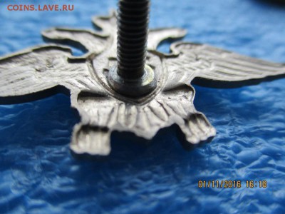 орлы Р.Ф. - IMG_1885.JPG