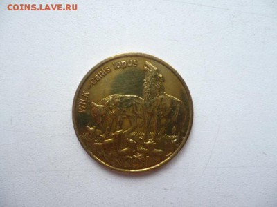 2 злотых Волк - волк.JPG