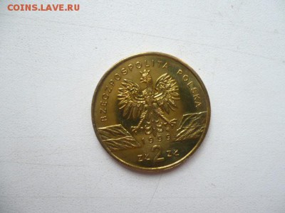 2 злотых Волк - волк2.JPG