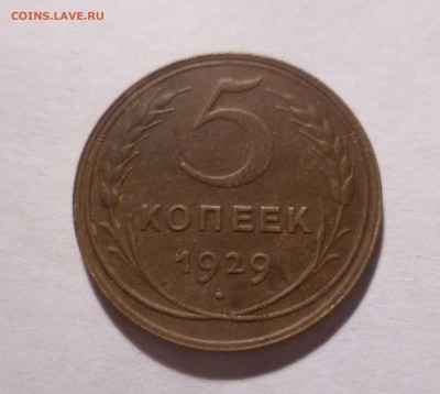 5 копеек 1929 года Приятные!  с 300руб. до 4.11.2016 в 22-30 - 5-29--1