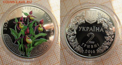 Зозулины черевички - 8