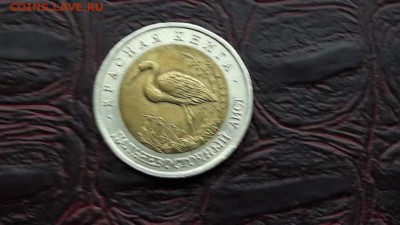 Аист. Красная книга 93 года. До 08.11 - IMG_20161101_172338_9