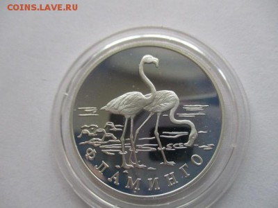 1 рубль 1997 Фламинго - IMG_8066.JPG