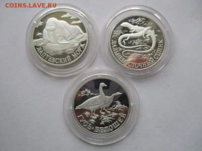 красная книга 1998 год - IMG_8070.JPG