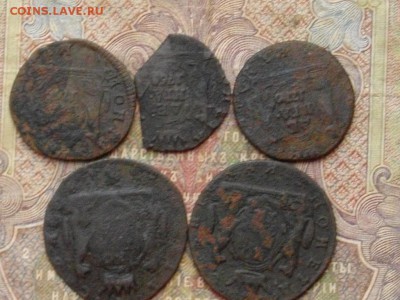 Сибирская монета (уставшая) 5 шт до 04 11 16 22-00мск - IMGP0388.JPG