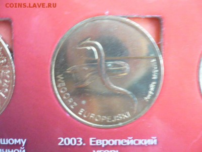 2 злотых Речной угорь - P1050310.JPG