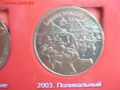 2 злотых Поливальный понедельник - P1050312.JPG
