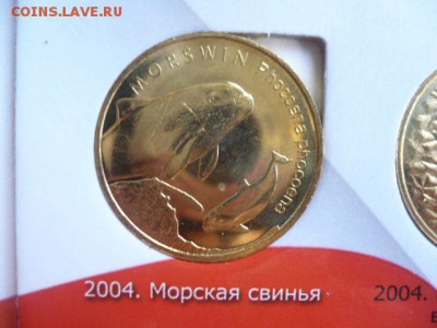 2 злотых Морская свинья - P1050318.JPG