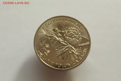 Украина 2 гривны 2001 Модрина польская до 05.11.16 22:00 - IMG_5339.JPG