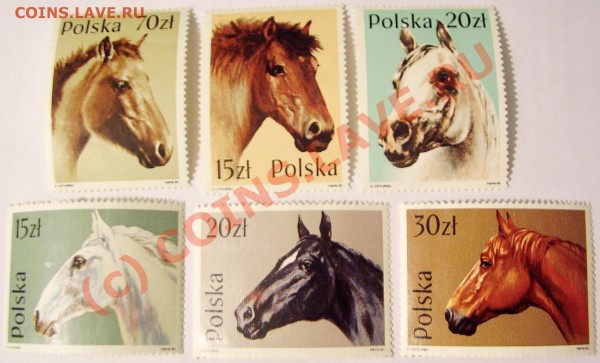 Марки - P2090019