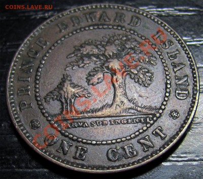 N04 1¢ Остров Принца Эдуарда  1871 VF до 29.12 в 22°° - N04 1c PEI 1871 VF_1