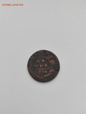 Деньга 1734г. - 3