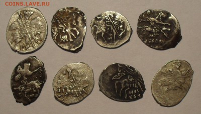 Чешуя, небольшая коллекция - SDC16547.JPG