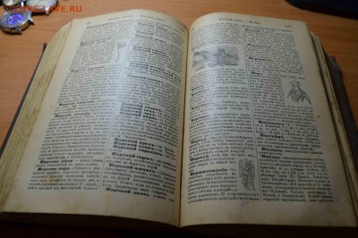 Словарь Ф.Павленкова 1913 года. - DSC_9048.JPG