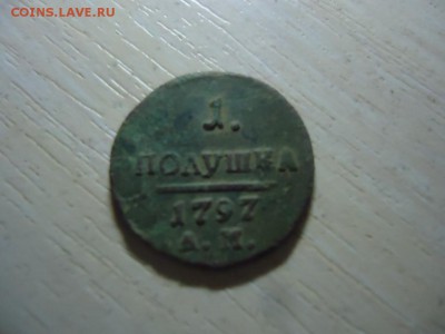 павловская полушка - DSC07975.JPG