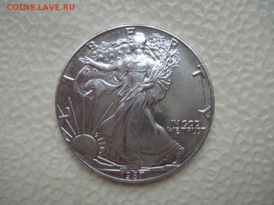 Доллар США  инвестиционный  1 унция 31,1 гр.до 06.11.16 - IMG_5940.JPG
