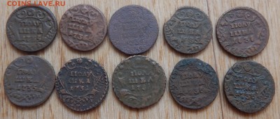 Полушки 1731,35,36гг. 10шт. - DSCN1421.JPG
