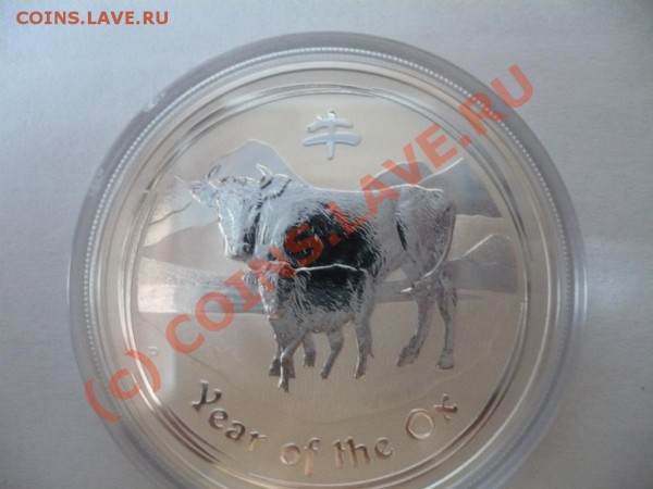 1 доллар Австралия инверсный пруф, 2009. - P1040612.JPG