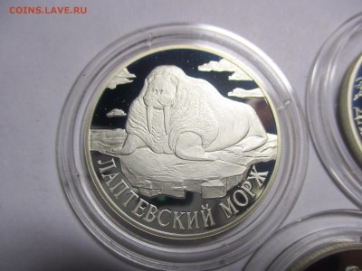красная книга 1998 год - IMG_8748.JPG